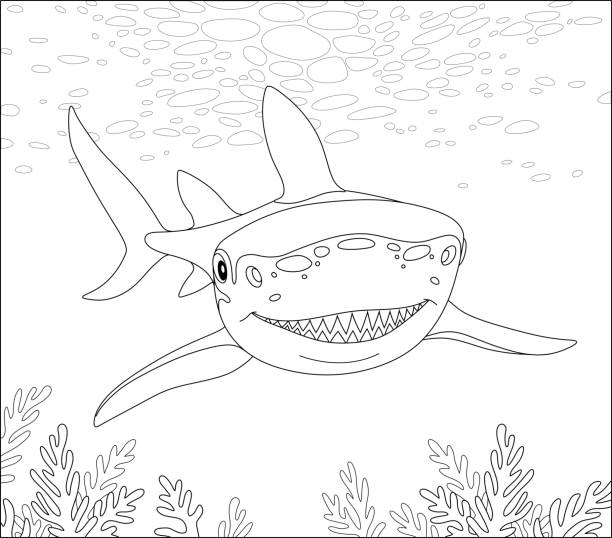 atak rekina na rafę - fish sea life sea animals hunting stock illustrations