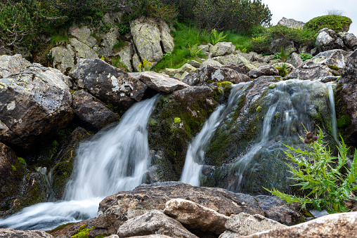 Pirin mountain creek. Bulgaria, Europe.