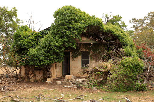 Kalangadoo, South Australia, Australia, March 4, 2015: An abandoned and overgrown house in the town of Kalangadoo, South Australia.