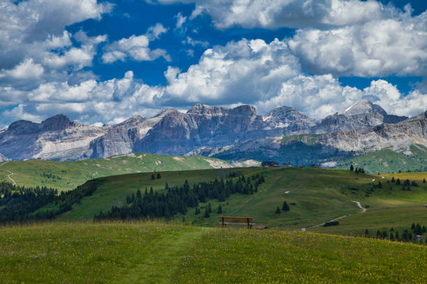 istock wooden bench overlooking the dolomites 1273837748