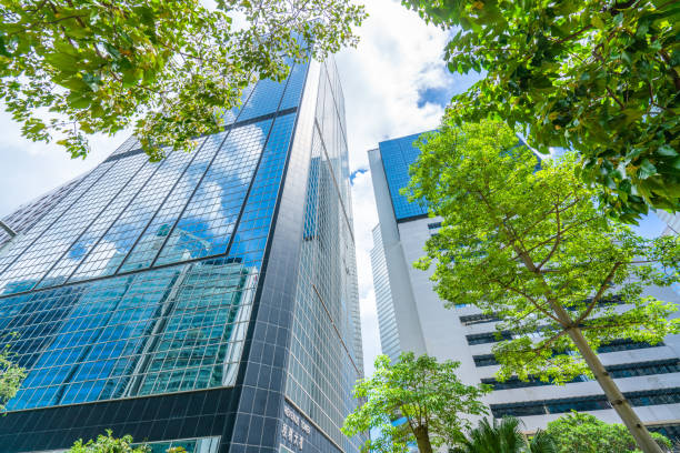 istock Portion of Trees Against Office Buildings 1273838347