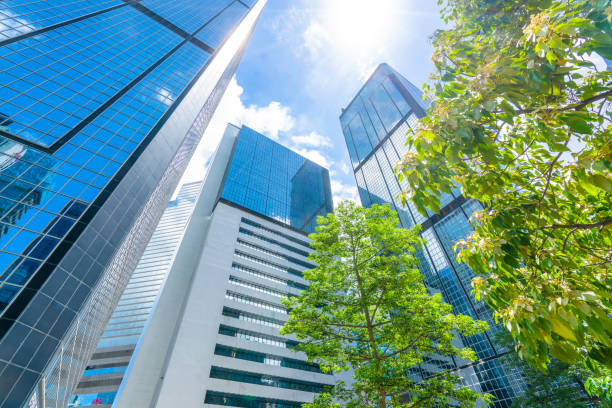 istock Portion of Trees Against Office Buildings 1273838358