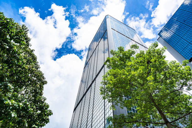 istock Portion of Trees Against Office Buildings 1273838359