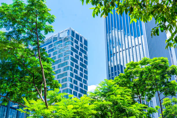istock Portion of Trees Against Office Buildings 1273838360
