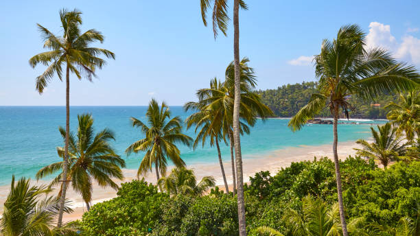 istock Tropical beach with coconut palm trees on a sunny summer day. 1273839165