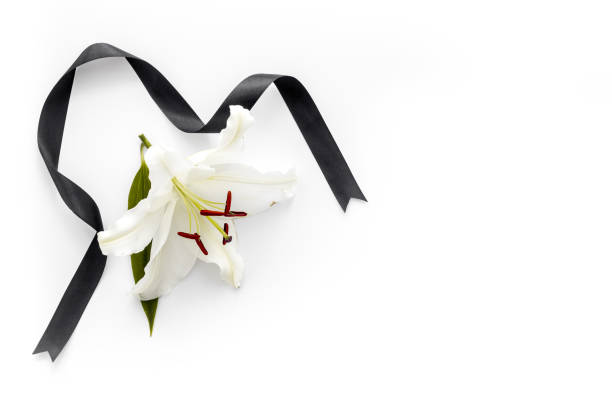 istock Funeral concept with lily and black ribbon, space for text 1273841335