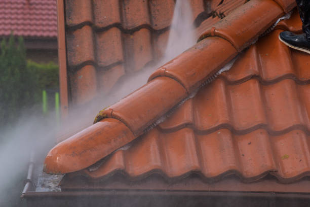 istock washing the old roof with pressurized water 1273841350