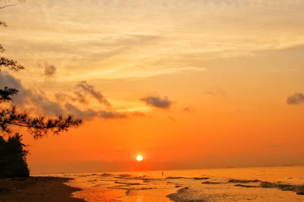 istock Sunrise on the sekerat beach 1273842384
