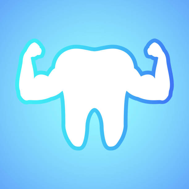 istock strong inflated muscles of a healthy tooth 1273843129