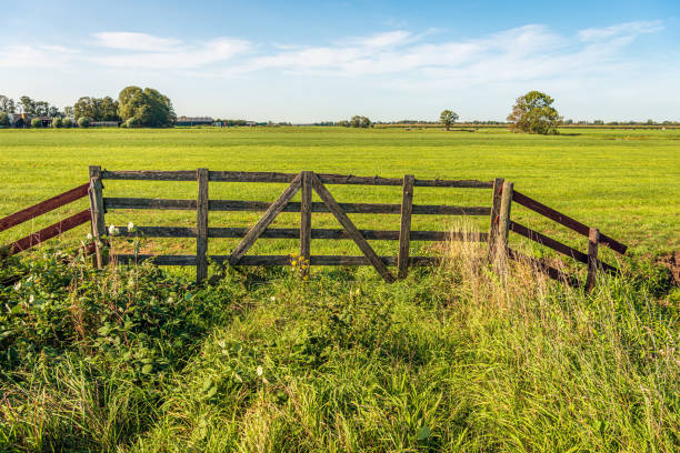 skewed and weathered old wooden gate on the edge of a dutch meadow - alblasserwaard imagens e fotografias de stock