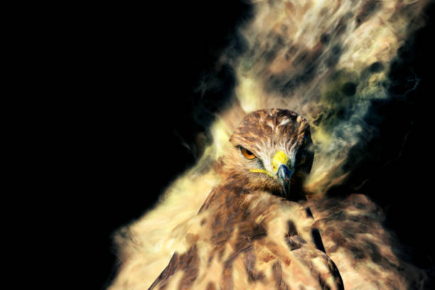 istock Abstract nature. Bird of prey. Dispersion effect. 1273845974