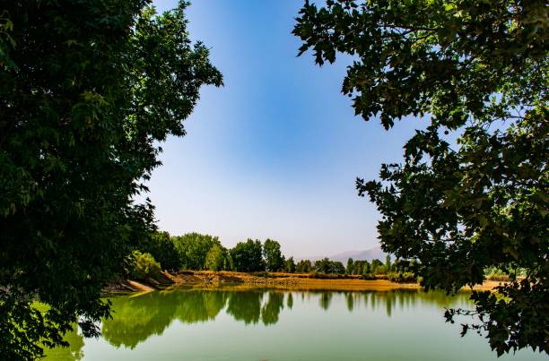 istock Taanayel lake, Bekaa vallley Lebanon 1273846739