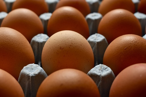 Eggs laid by healthy outdoor chickens and sold in recycled paper trays at a local poultry farm shop in Northamptonshire, Uk.