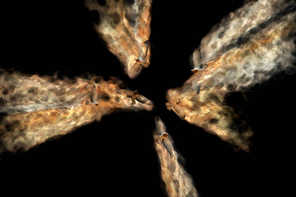 istock Abstract nature. Bird of prey. Dispersion effect. 1273847140