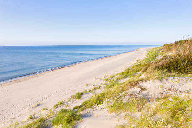 istock The Curonian Spit from above. Aerial drone shot. 1273847372