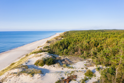 The Curonian Spit in Kaliningrad region, Russia - aerial view of Baltic sea, white sand beach and dunes, covered with pine forest.