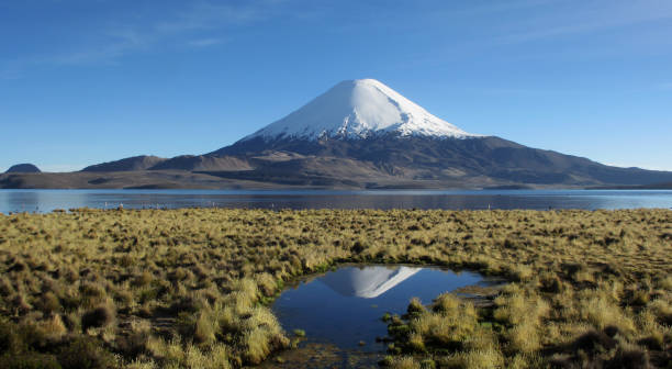 istock Lauca National Park Parinacota volcano 1273848495