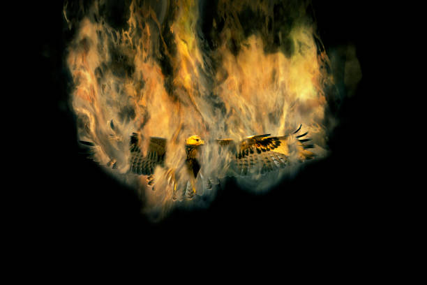 istock Abstract nature. Bird of prey. Dispersion effect. 1273848931