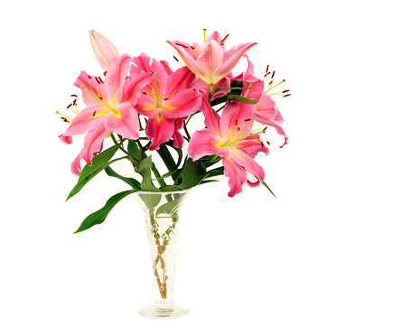Glass vase full with Pink lily flowers with white background