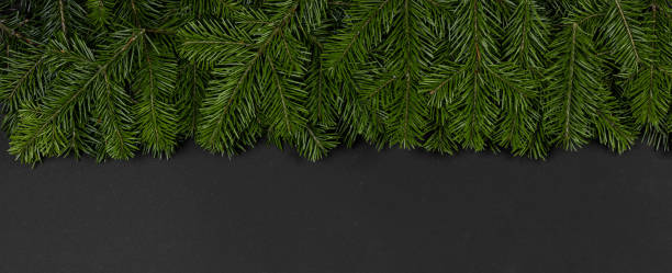 istock Christmas fir tree on black background 1273851516