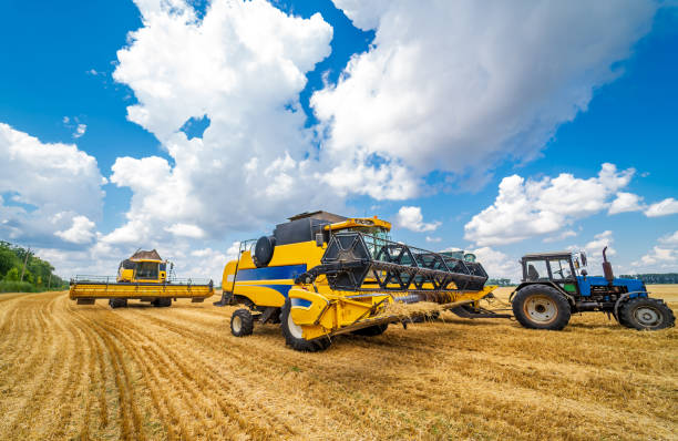 istock Process of gathering ripe crop from the fields. Side view on yellow combine. Harvest time. 1273853861