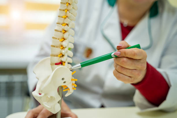 istock Female doctor with anatomical spine on white background 1273854192