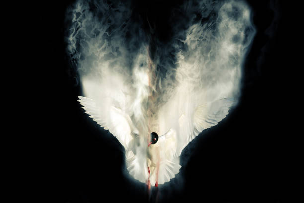 istock Abstract nature. Flying bird. Dispersion effect. White background. 1273854391