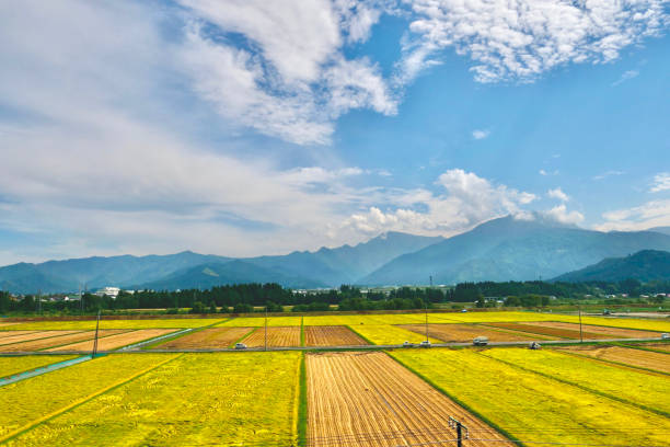 at Uonuma in Japan
