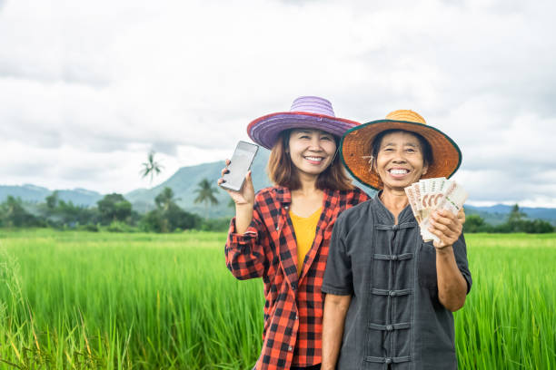 szczęśliwa rodzina azjatyckich rolników uśmiecha się z ręką trzymającą tajskie banknoty pieniądze i inteligentny telefon stojący nad zieloną farmą ryżu - cash register old coin wealth zdjęcia i obrazy z banku zdjęć