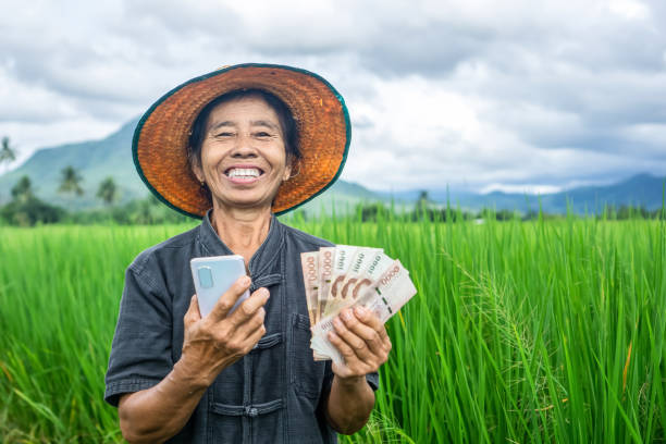 happy Asian woman farmer with smiling face hand holding Thai banknotes money and smart phone  standing over green rice farm happy Asian woman farmer with smiling face hand holding Thai banknotes money and smart phone  standing over green rice farm ,cash subsidy concept agricultural occupation stock pictures, royalty-free photos & images