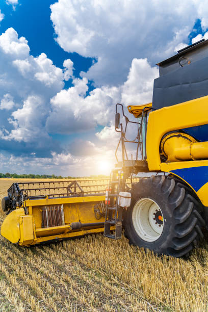 istock Agriculture machine harvesting crop in fields, Special technic in action. agricultural technic in field. Heavy machinery, blue sky above field. 1273856411