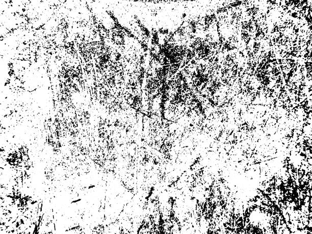 Black and white grunge. Distress overlay texture. Abstract surface dust and rough dirty wall background concept. Black and white grunge. Distress overlay texture. Abstract surface dust and rough dirty wall background concept. 
Distress illustration simply place over object to create grunge effect. Vector EPS10. stampeding stock illustrations