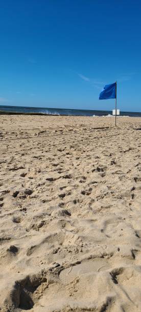 istock The beach and water 1273860758