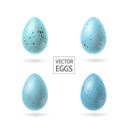 Set of decorative realistic Robbin eggs vector illustration as decorative element for Easter. Spotted small blue eggs. - Vector