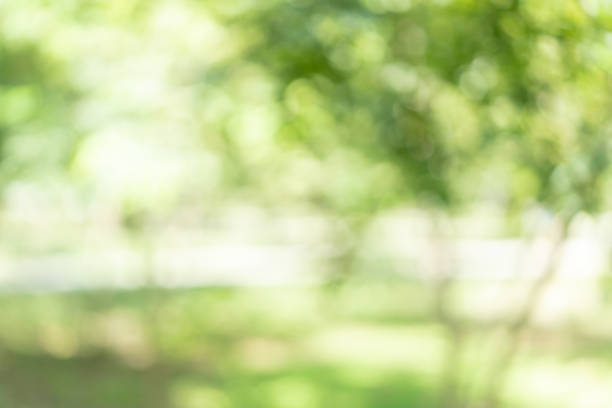 istock Abstract blur green color for background, blurred and park focused effect spring concept for design 1273861215