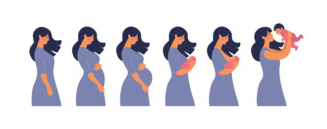 The main stages of pregnancy and motherhood. Set for infographics and animation. Pregnancy, mother with newborn, breastfeeding. Flat stock vector illustration isolated on white background.
