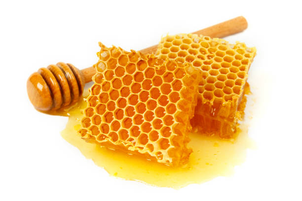 istock Honeycomb and curative propolis isolated on white background. Wild bee honey 1273863722
