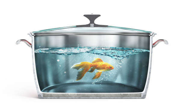 料理のコンセプト。カットされた鍋に水を入れ魚。3d イラスト - color image gold yellow black ストックフォトと画像