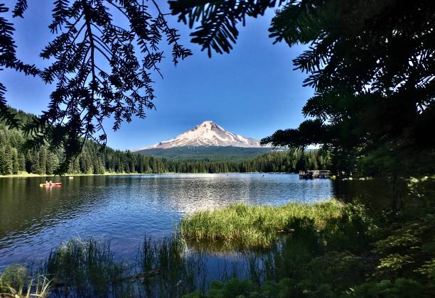 wander-trilliumsee mit mt. haube, reflektiert - mt hood national park stock-fotos und bilder