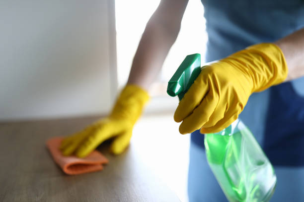 istock Female hands in gloves disinfect table at home 1273867965