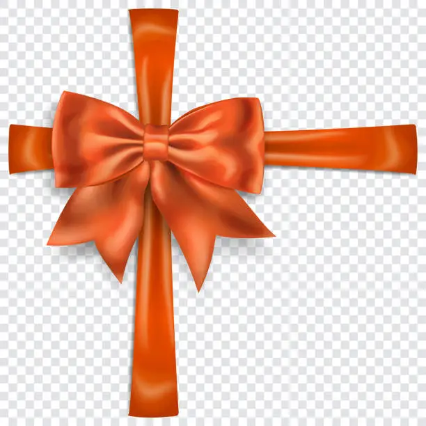 Vector illustration of Beautiful bow with crosswise ribbons