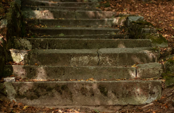 istock There are steps in the park. 1273869483