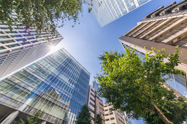 istock Tokyo buildings with beautiful fresh greenery 1273869782