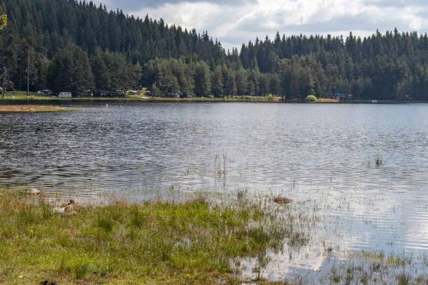 istock Landscape with Shiroka polyana Reservoir, Bulgaria 1273870092