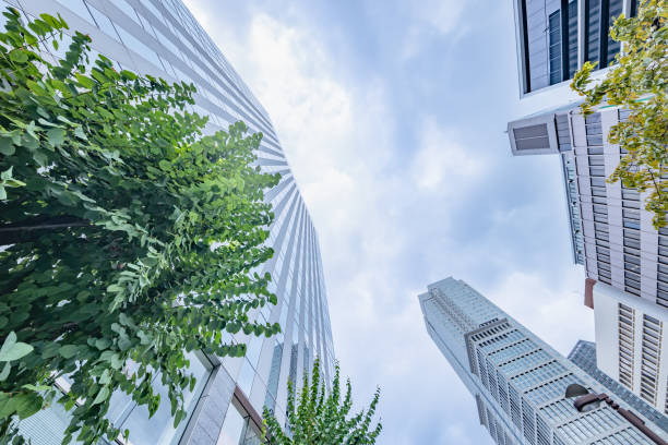 istock Tokyo buildings with beautiful fresh greenery 1273871274