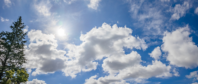 Blue sky, clouds and fresh green