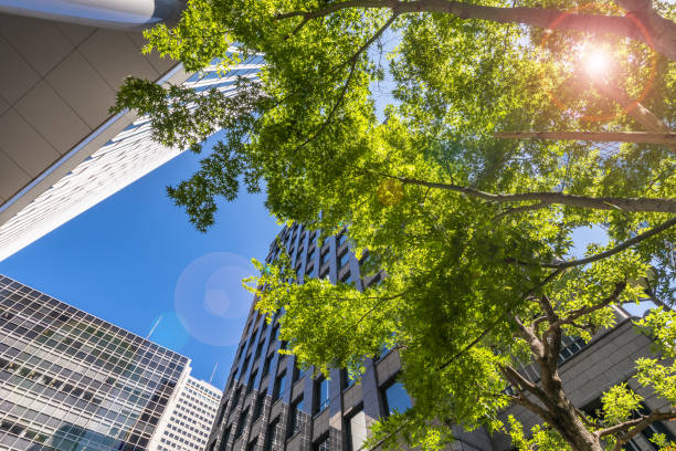 istock Tokyo buildings with beautiful fresh greenery 1273871763