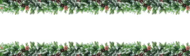 Christmas frame with snow-covered branches of fir-pine, with cones, isolated on white background. Christmas and New Year concept. Copy space