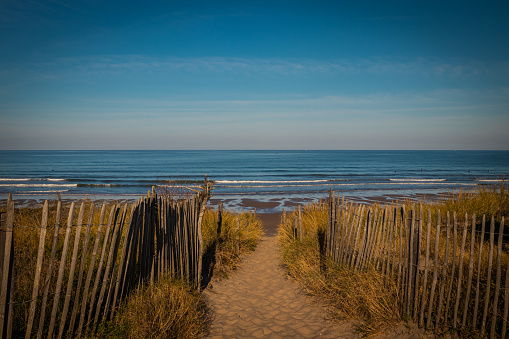 Footpath between wooden fences on the Atlantic Dune in France, Montalivet