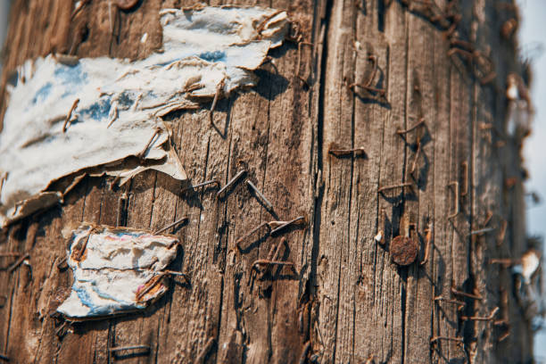 primo primo di graffette arruggiginiti su palo di legno - rusty textured textured effect staple foto e immagini stock